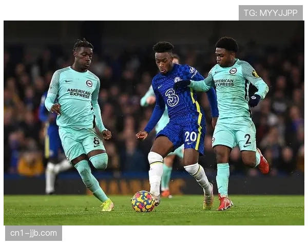 “超级替补”维尔贝克：辗转多队，用经验帮助布莱顿成长